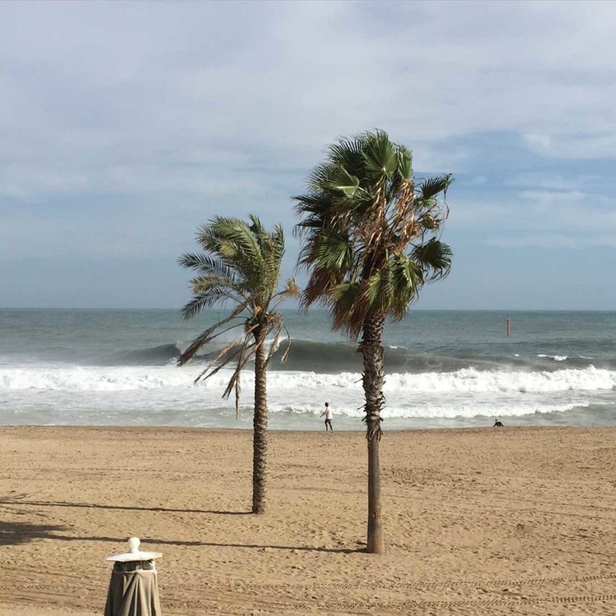mediterranean-surf9